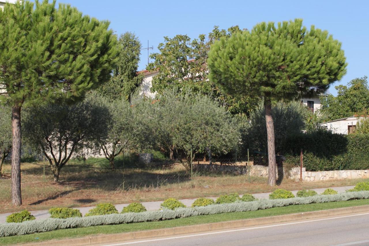 Apartments And Rooms With Parking Space Rovinj - 7170 Exterior foto